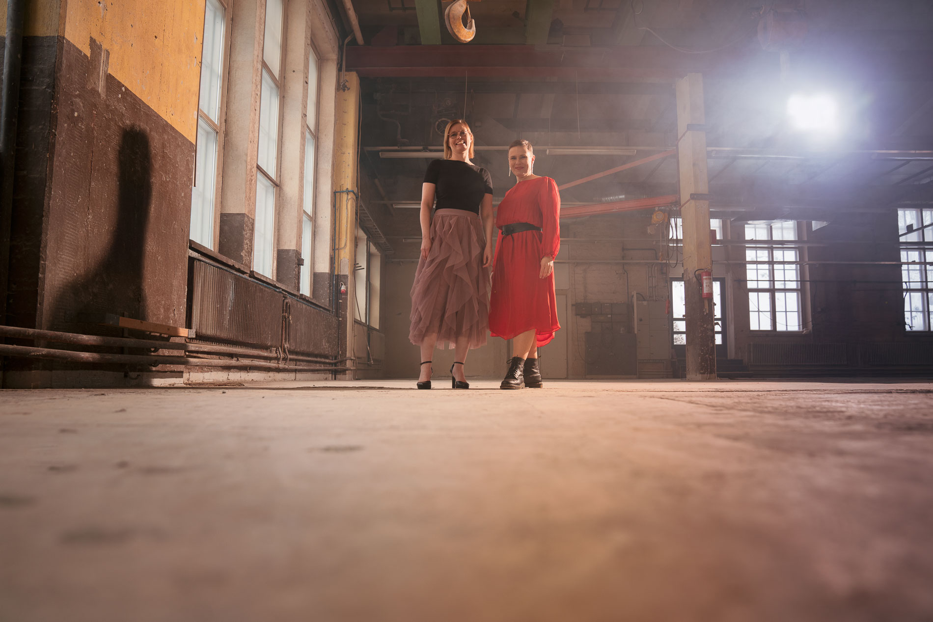 Paju projektin tavoite